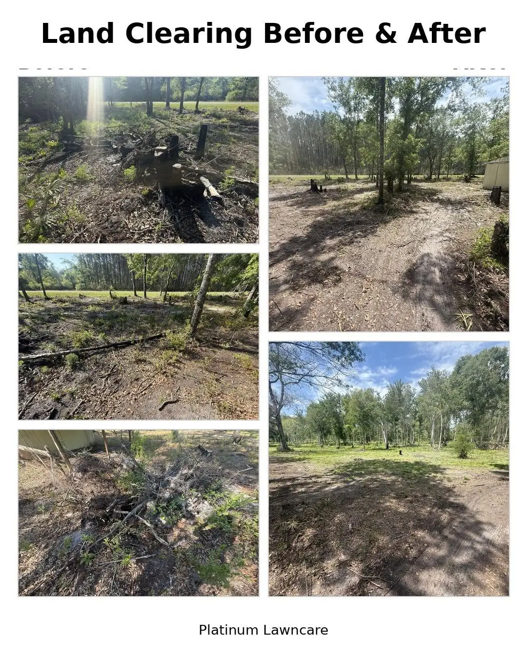 Platinum Lawncare before-and-after collage: brush and fallen limbs before clearing, with open ground and remaining trees afterward